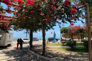 Mirante de São Gonçalo